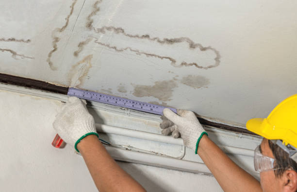 Affordable Water Damage Repair solutions in Moxahala, OH